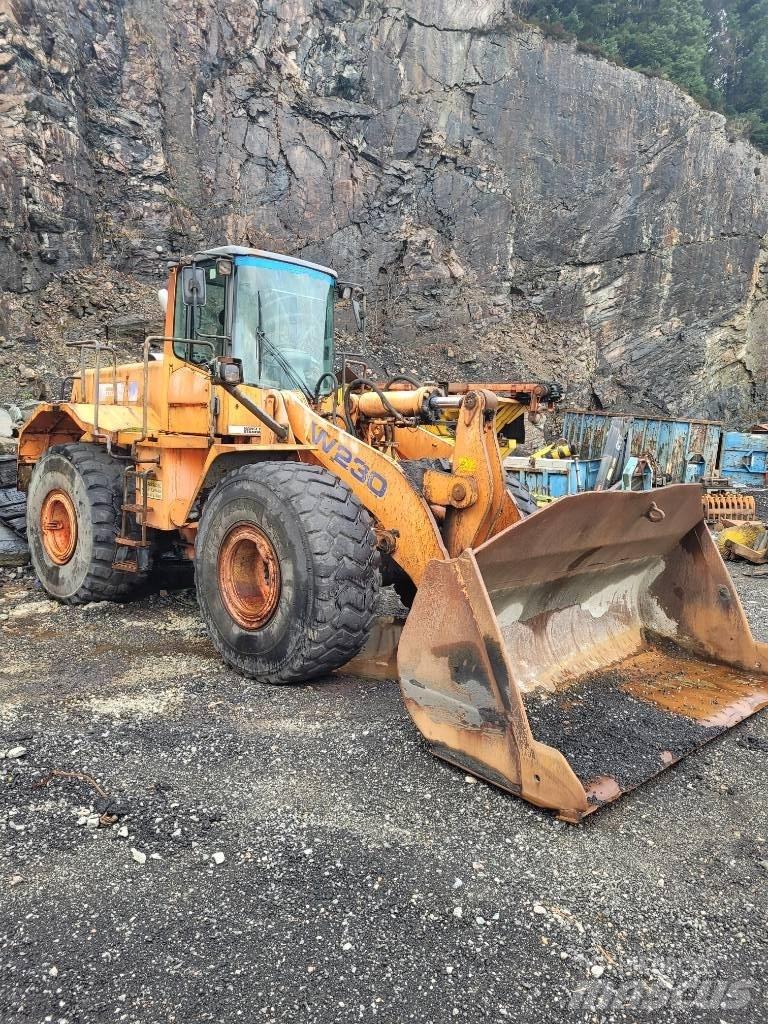 Fiat-Hitachi w230 Pale gommate