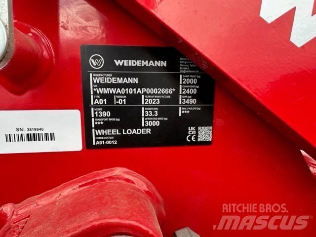 Weidemann 1390 Pale gommate