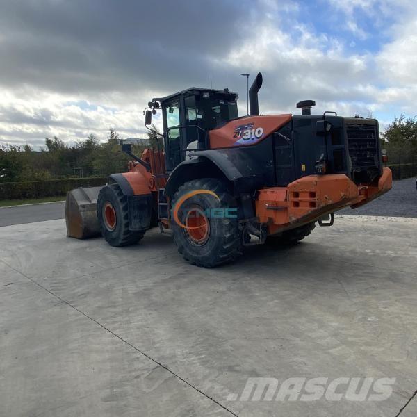 Hitachi ZW310 Pale gommate