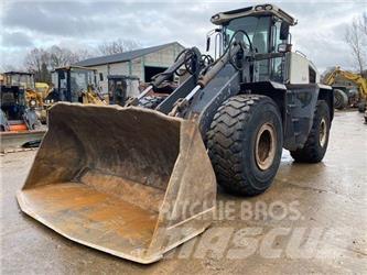 Terex TL 420 Pale gommate