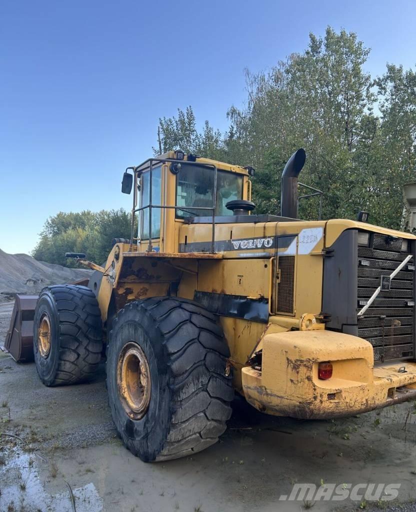 Volvo L 220 D Pale gommate