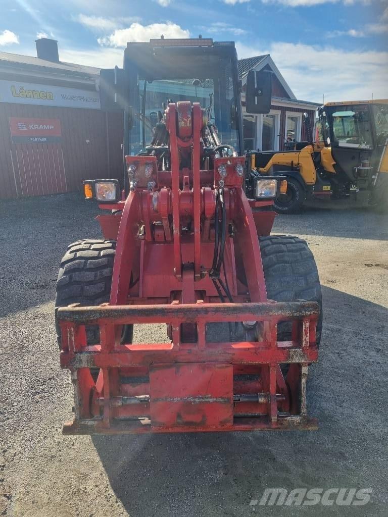 Schäffer 5058 Z S Pale gommate