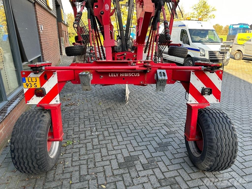 Lely Hibiscus 885 CD Falciandanatrici