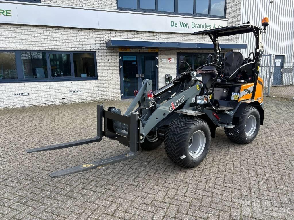 Giant G2500HD Xtra Mini pale