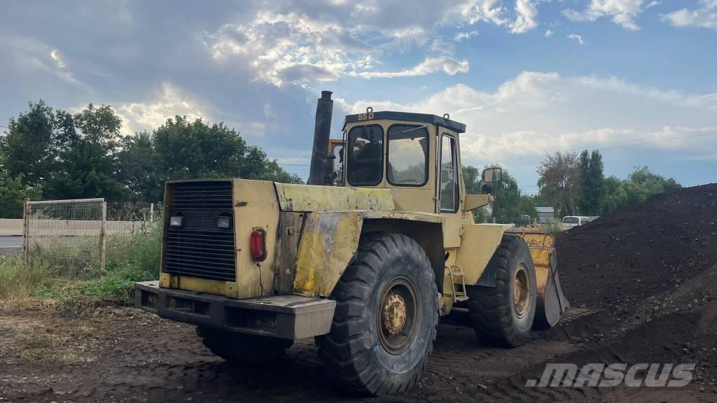Hanomag 55D Pale gommate