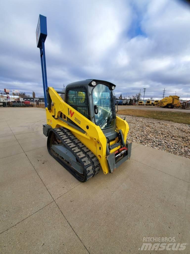 Wacker Neuson ST31 Pale cingolate
