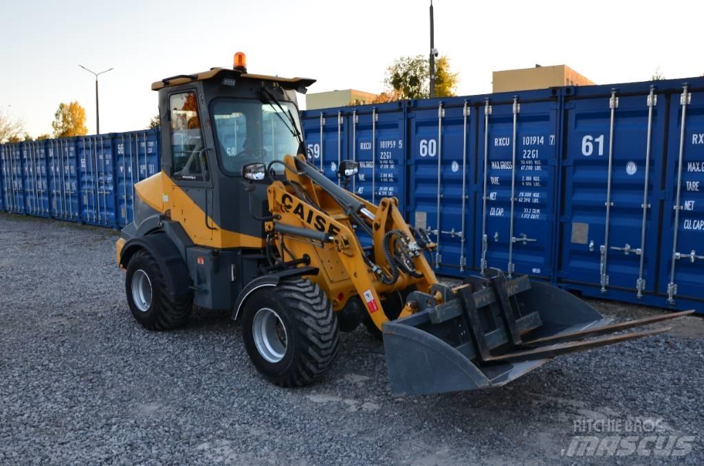  CAISEREX CS910PRO Pale gommate