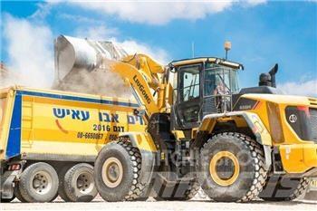 LiuGong 856H Pale gommate