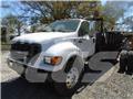 Ford F 650 Camion con sponde ribaltabili