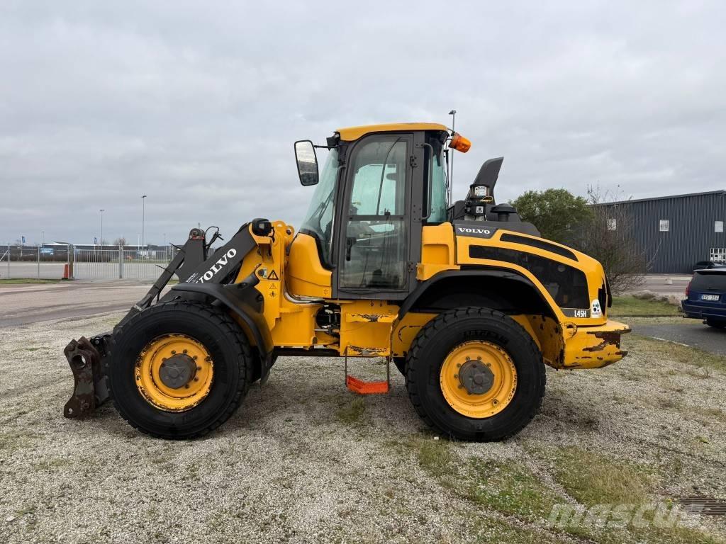 Volvo L 45 H Pale gommate