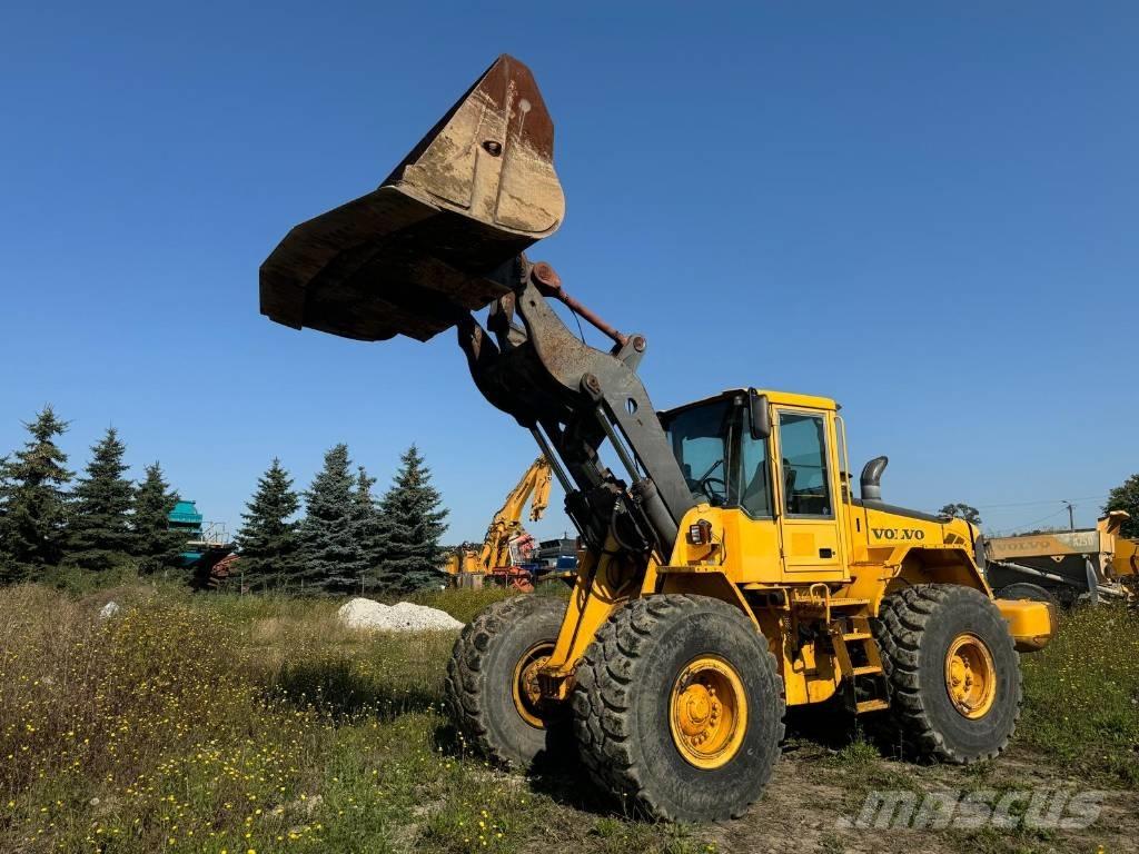 Volvo L 110 E Pale gommate