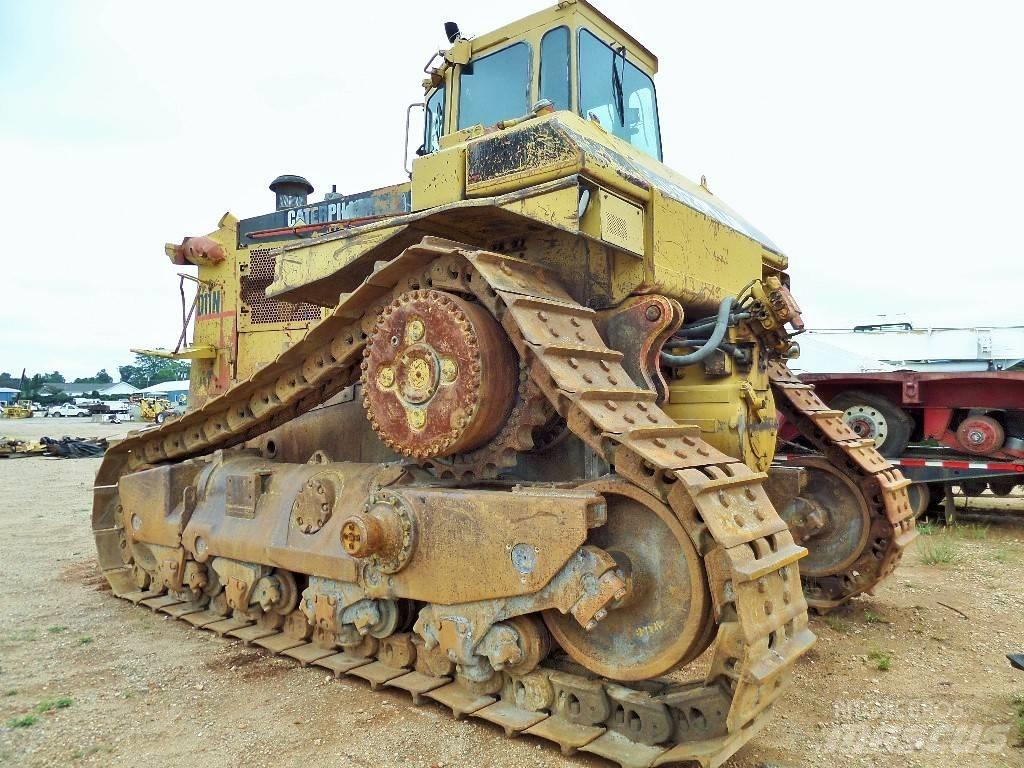 CAT D 11 N Dozer cingolati