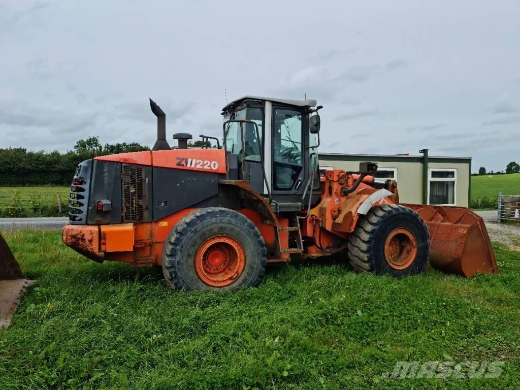 Hitachi ZW 220 Pale gommate