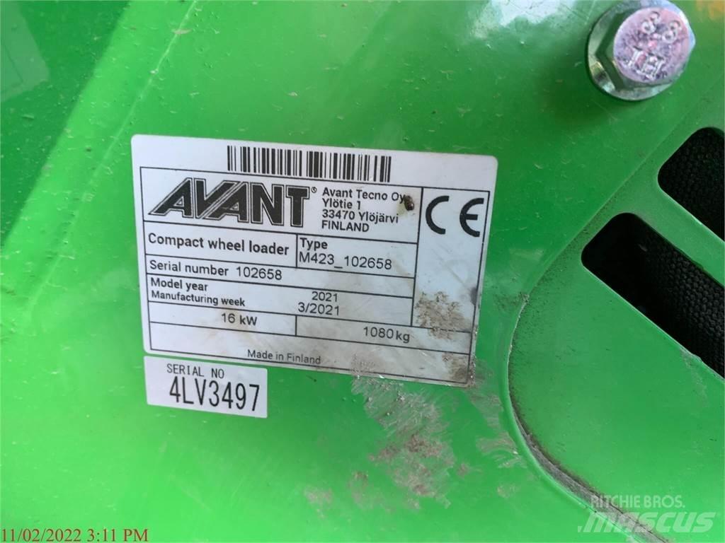 Avant 423 Pale gommate