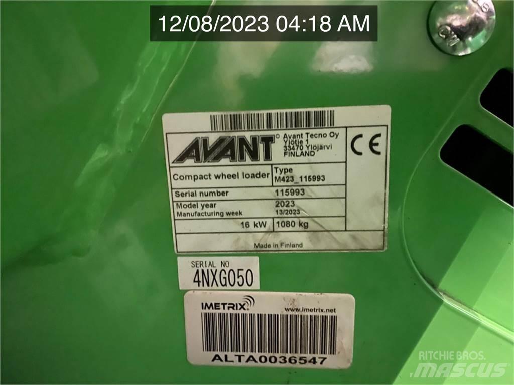Avant 423 Pale gommate