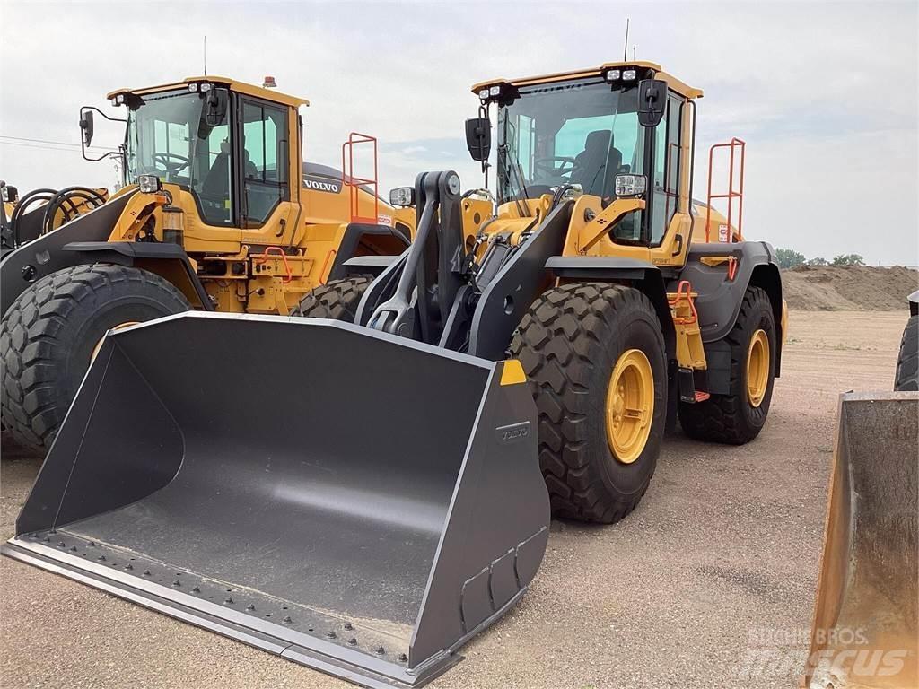 Volvo L110H Pale gommate