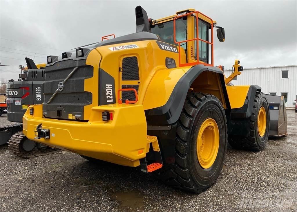 Volvo L220H Pale gommate