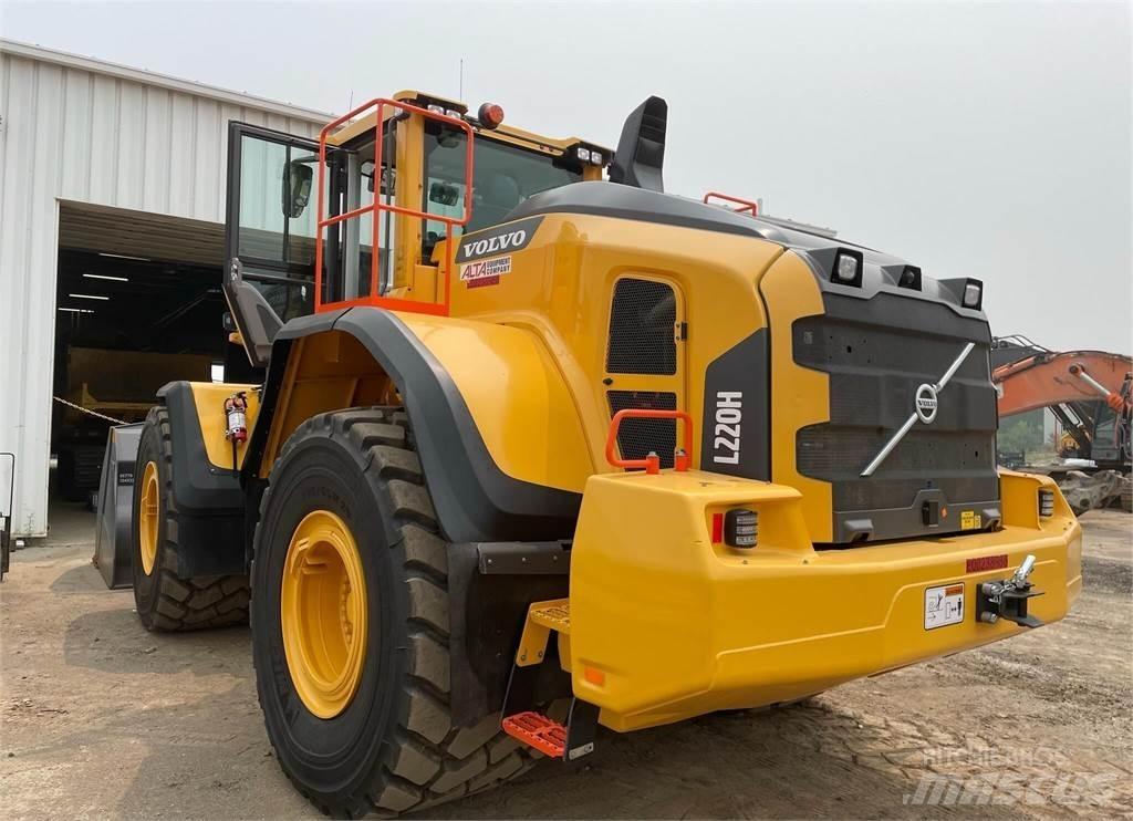 Volvo L220H Pale gommate