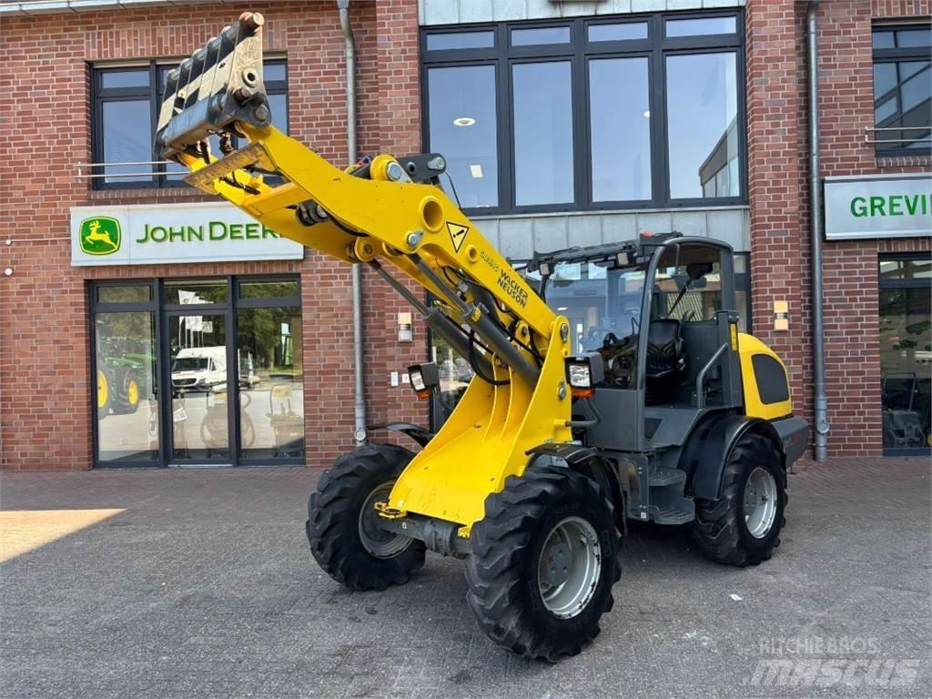 Kramer WL 54 Pale gommate