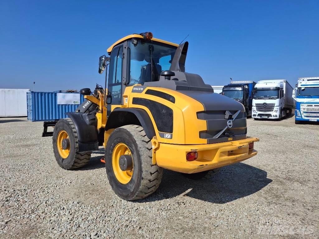 Volvo L 45 H Pale gommate