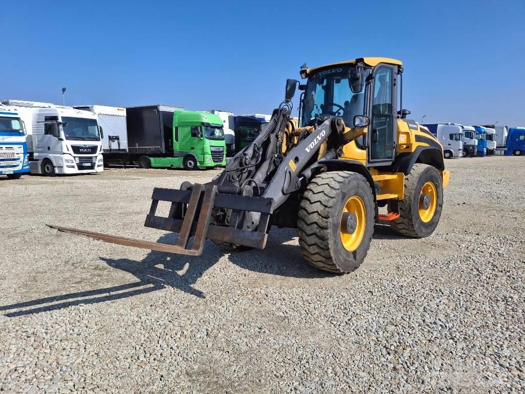 Volvo L 45 H Pale gommate