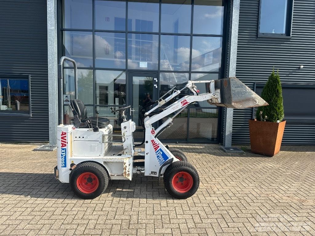 Knikmops 100 Pale gommate