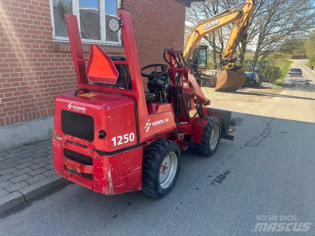 Weidemann 1250 Mini pale