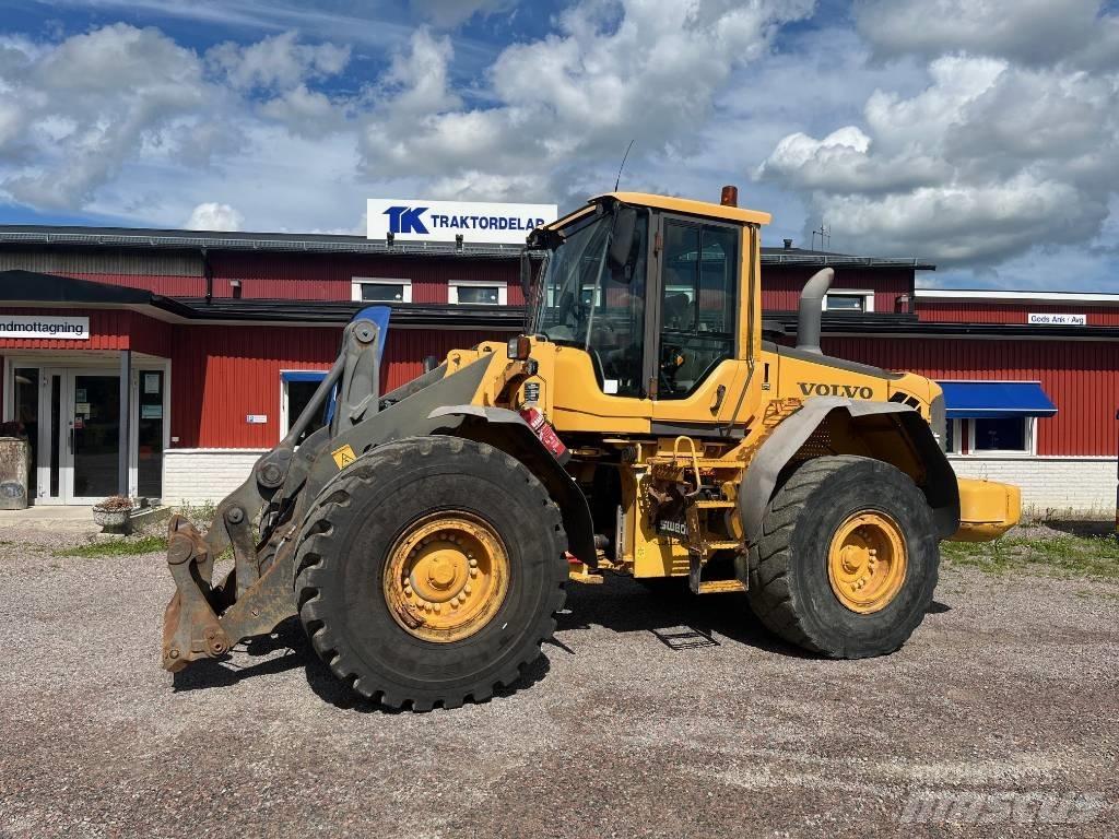 Volvo L 110 F Pale gommate