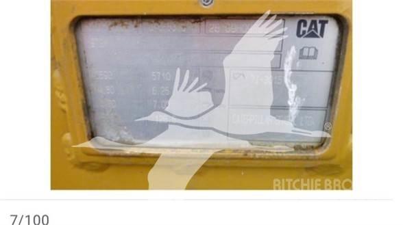 CAT  Benne