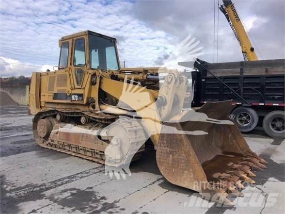 CAT 973 LGP Pale cingolate