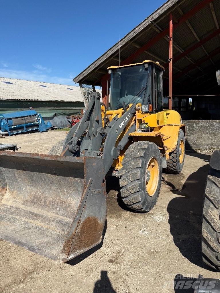 Volvo L 45 B Pale gommate