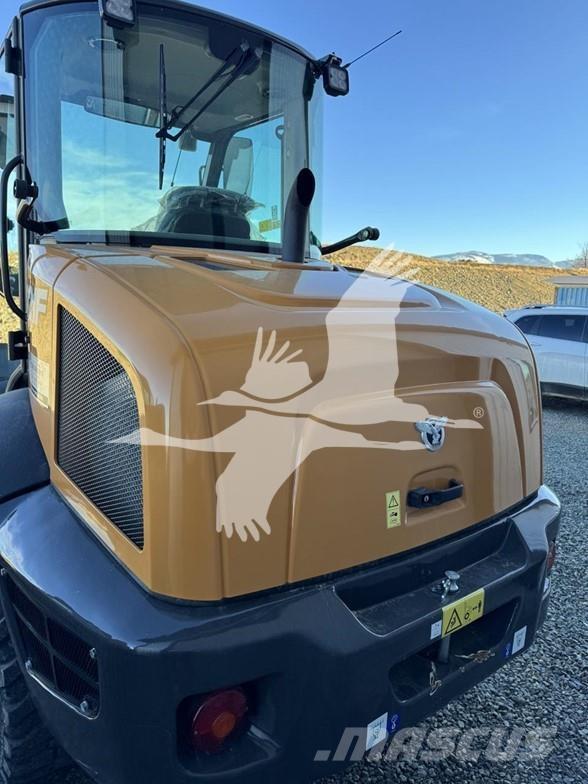 CASE 221F Pale gommate