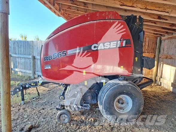 Case IH RB565 Rotopresse