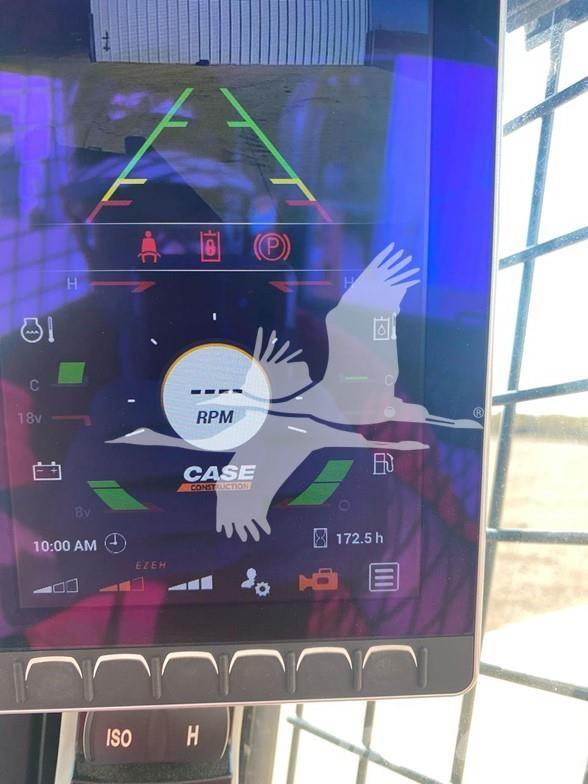 CASE TR270B Mini Pale Gommate