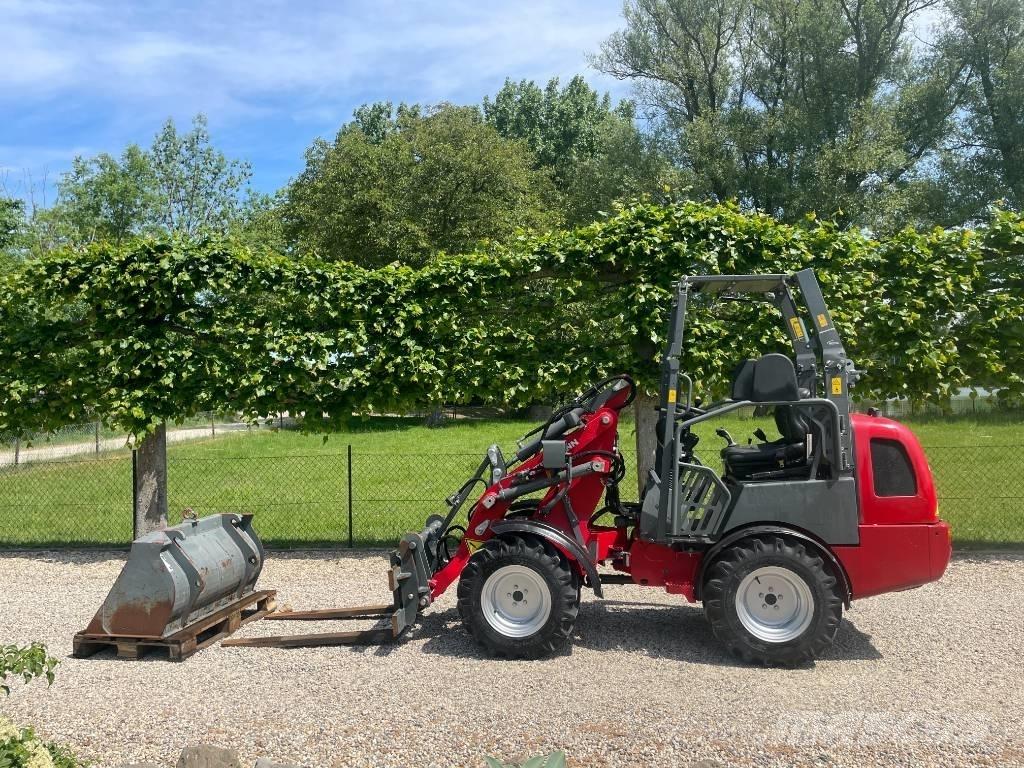 Weidemann 1260 Pale gommate