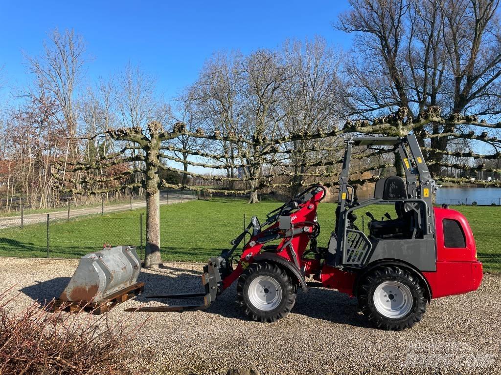 Weidemann 1260 Pale gommate