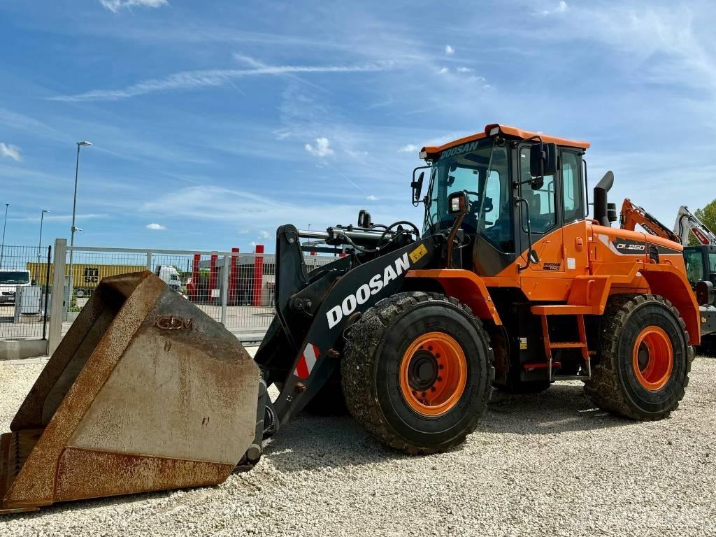 Doosan DL 250-5 Pale gommate
