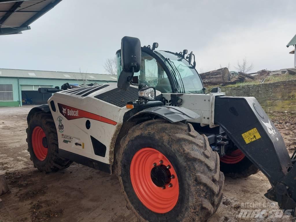 Bobcat TL 35.70 AGRI Sollevatori telescopici