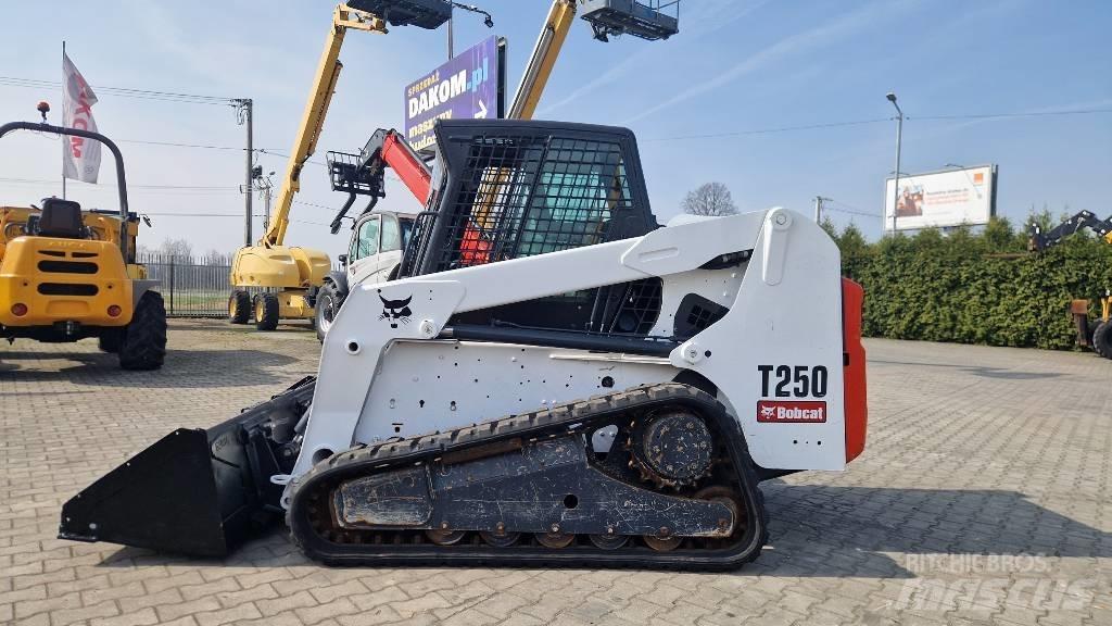 Bobcat T 250 Pale cingolate