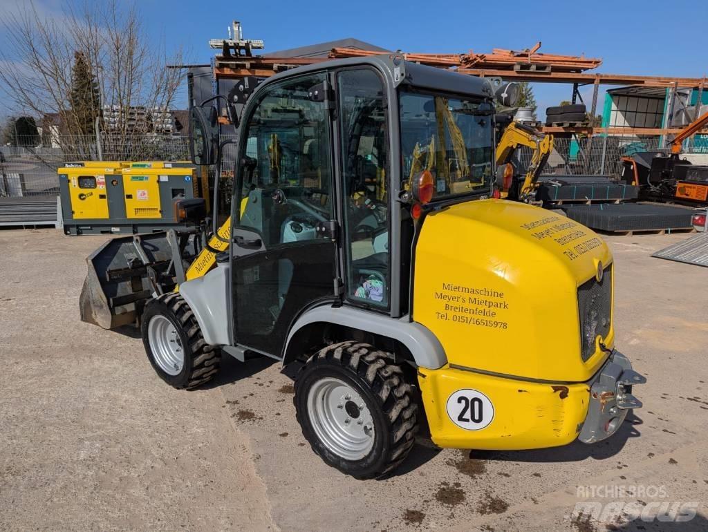 Kramer 5035 Pale gommate