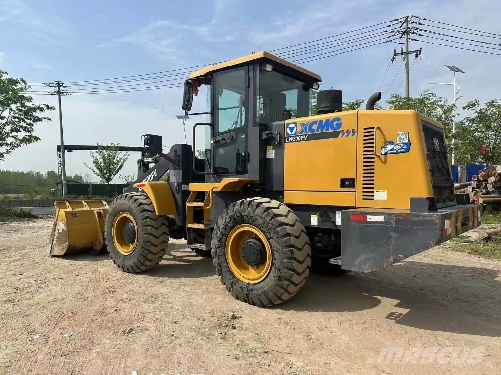XCMG LW 300 F Pale gommate