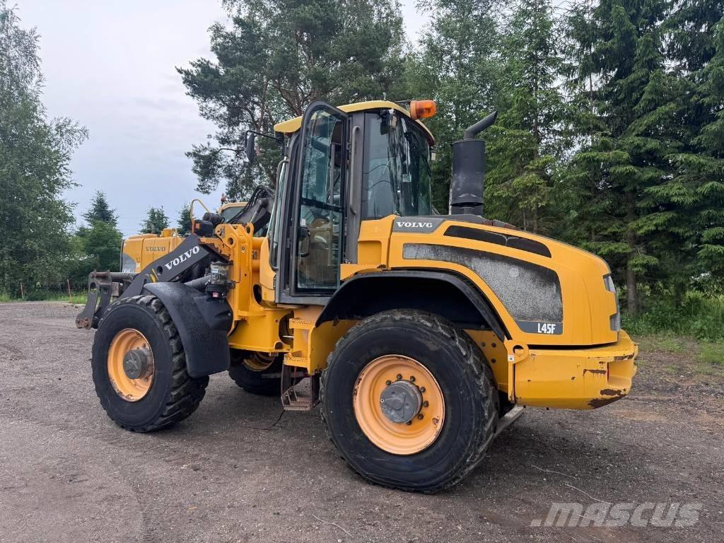 Volvo L45F-TP/S Pale gommate