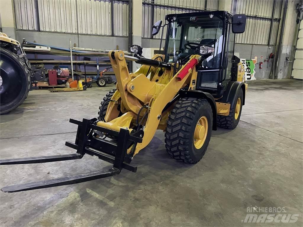 CAT 906 Pale gommate