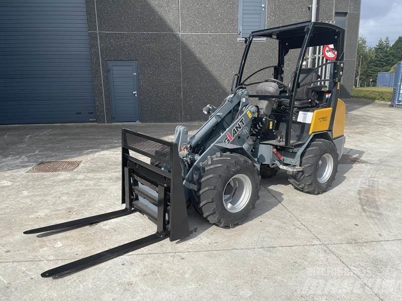 GiANT V 452 T XTRA Pale gommate
