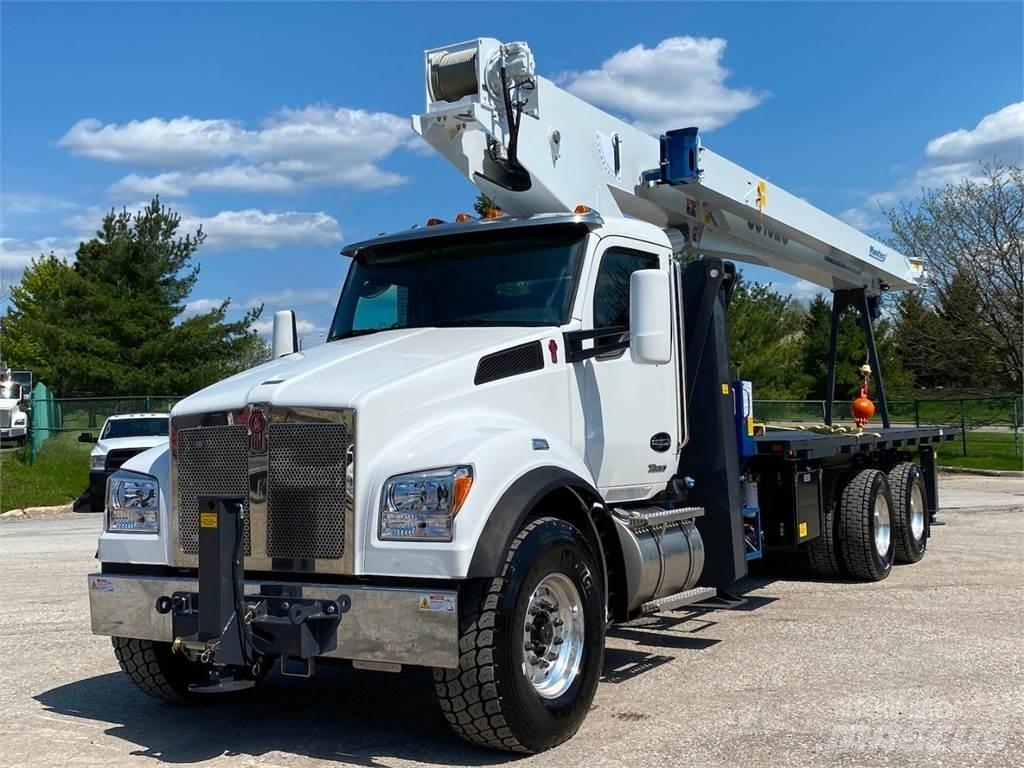 Manitex 30102 C Autogru