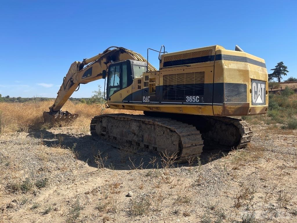 CAT 365 C L Escavatori cingolati