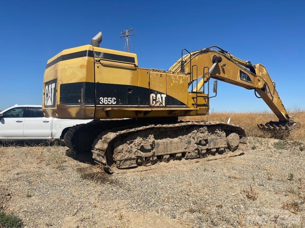CAT 365 C L Escavatori cingolati