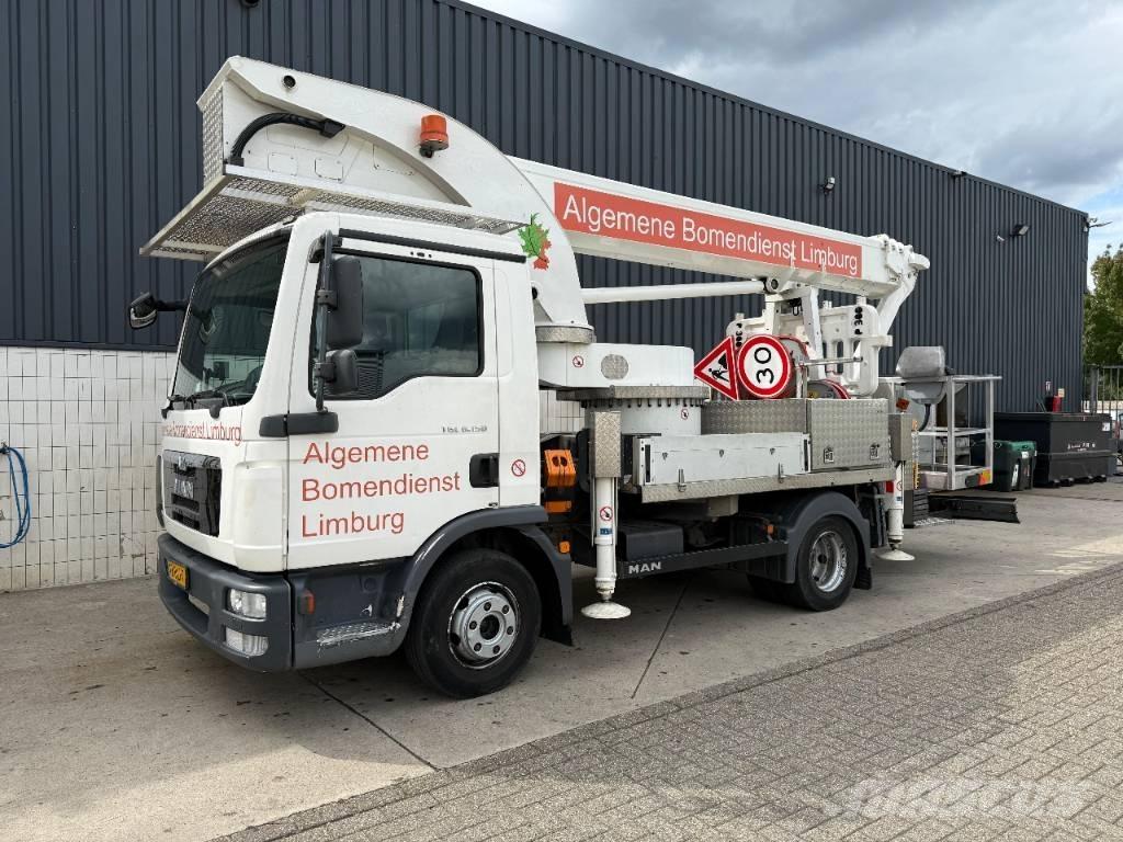 Palfinger P 300 KS Piattaforme autocarrate