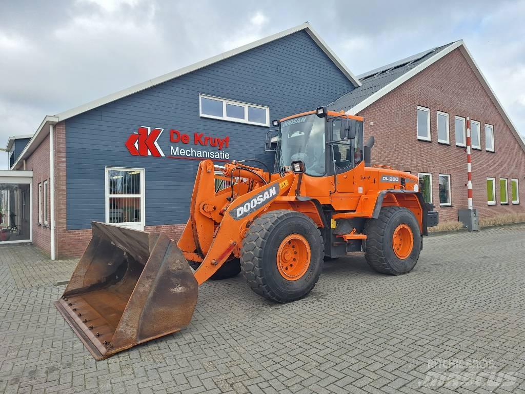 Doosan DL250 Pale gommate
