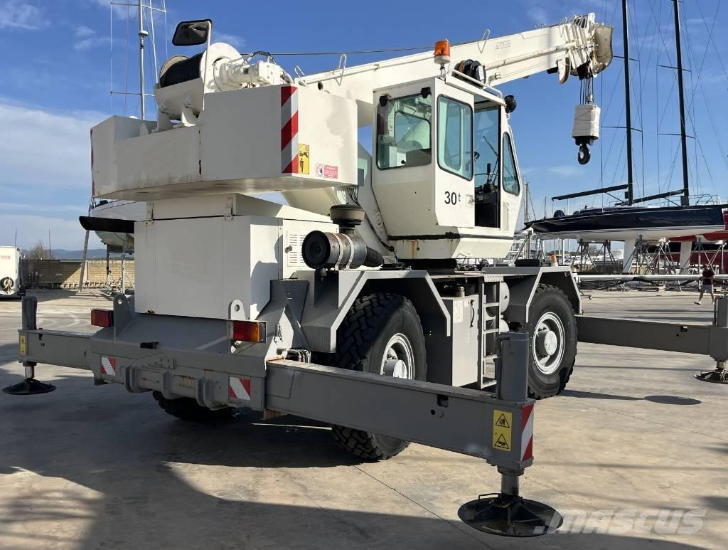 Terex A 300 Gru per terreni difficili